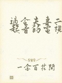 适合夫妻二人一起看的电视剧封面