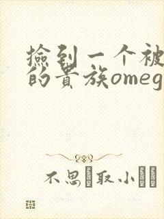 捡到一个被抹布的贵族omega