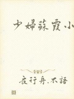 少妇苏霞小说封面