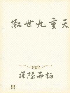 傲世九重天小说