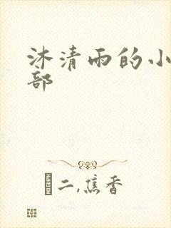 沐清雨的小说全部