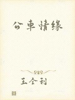 公车情缘封面