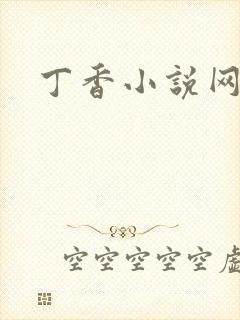 丁香小说网