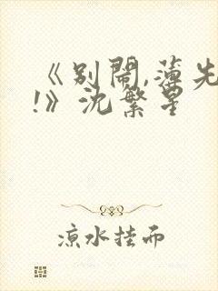 《别闹,薄先生!》沈繁星