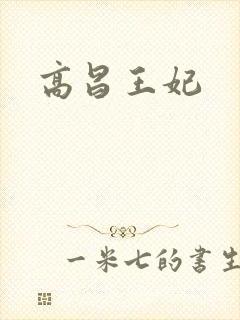 高昌王妃封面