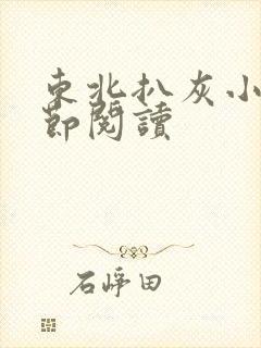 东北扒灰小说分节阅读