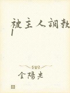 被主人调教1v1封面