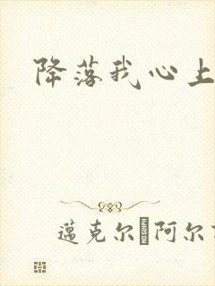 降落我心上封面