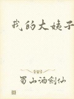 我的大姨子封面