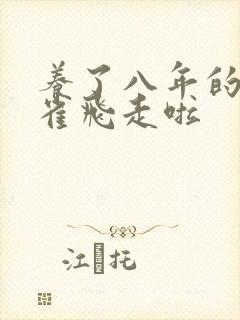 养了八年的金丝雀飞走啦