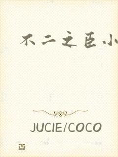 不二之臣小说封面