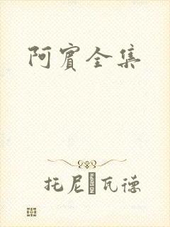 阿宾全集封面