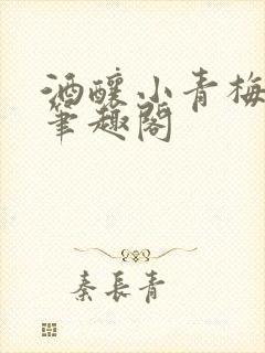 酒酿小青梅po笔趣阁