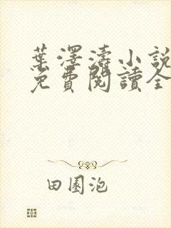 叶泽涛小说全文免费阅读全文