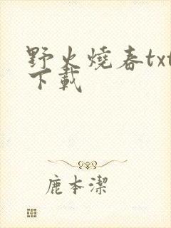 野火烧春txt下载