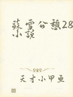 苏雪公憩28篇小说