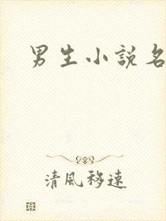 男生小说名字