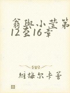 翁与小莹第十部12至16章