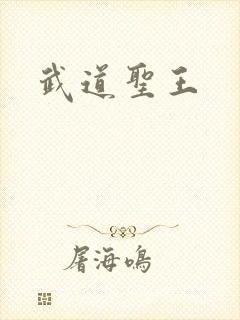 武道圣王