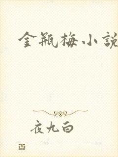 金瓶梅小说下载封面