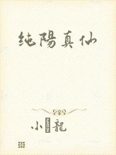纯阳真仙