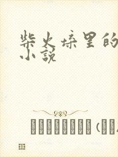 柴火垛里的疯狂小说封面