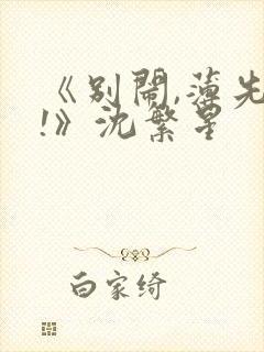 《别闹,薄先生!》沈繁星