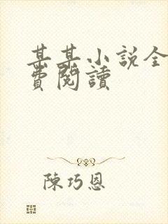 某某小说全文免费阅读