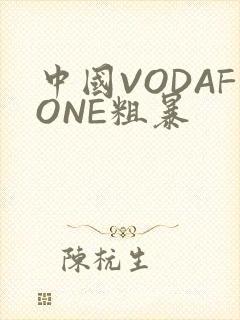 中国VODAFONE粗暴封面