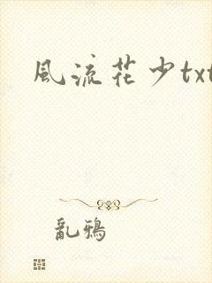 风流花少txt
