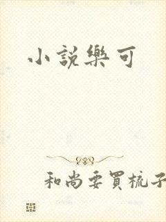 小说乐可封面