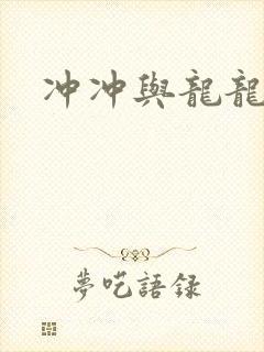 冲冲与龙龙封面
