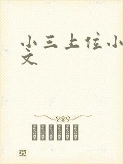 小三上位小说全文