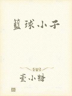篮球小子