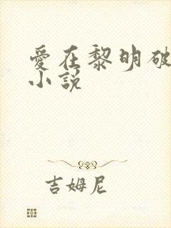 爱在黎明破晓前小说