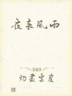 夜来风雨封面