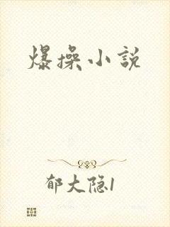 爆操小说