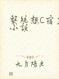 系统想C宿主的小说