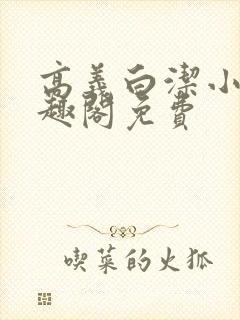 高义白洁小说笔趣阁免费