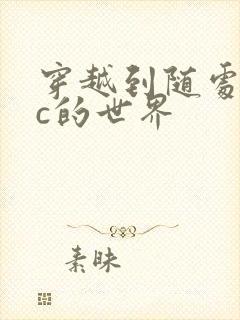 穿越到随处可以c的世界