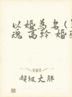 以婚为名 (军魂 高干 婚恋)