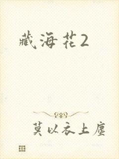 藏海花2