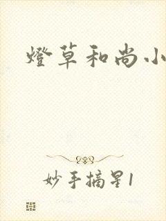 灯草和尚小说