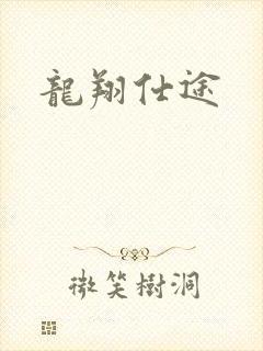 龙翔仕途