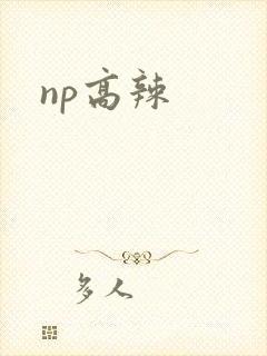 np高辣