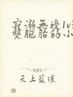 宠溺无边1v3双胞胎的小说