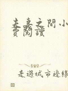 夫妻之间小说免费阅读