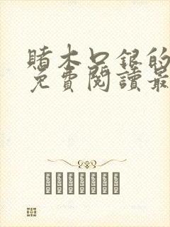 赌木口银的小说免费阅读最新封面