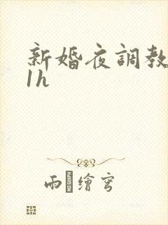 新婚夜调教1v1h