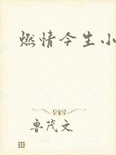 燃情今生小说